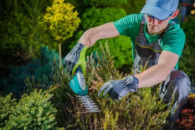 landscaping services Gardiner